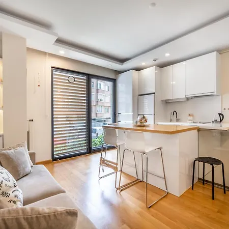 Modern Cozy Duplex In Great Location Center Apartment Istanbul